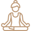 feature icon